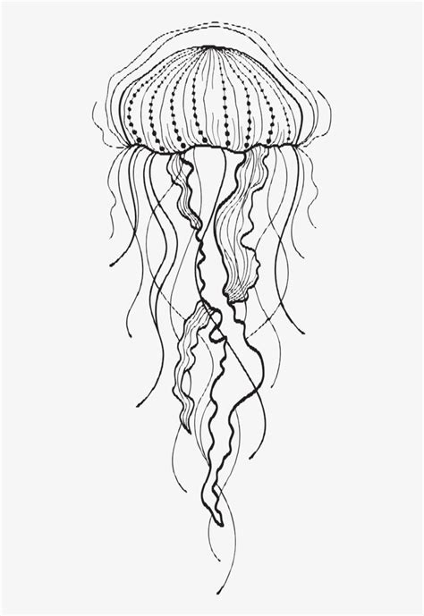 A space jellyfish (or jellyfish ufo; Jelly Fish Drawing At Getdrawings - Moon Jelly ...