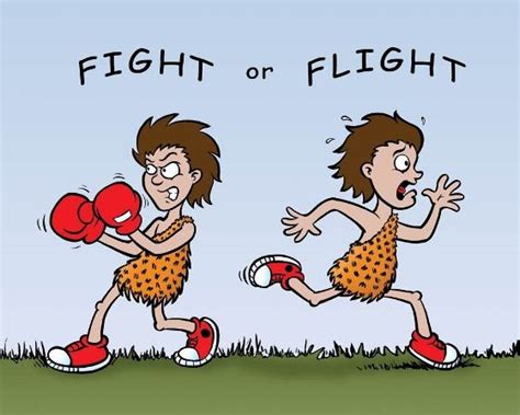 The fight or flight response makes your body experience two types of reactions. Buffering Brain: Fight or Flight Response