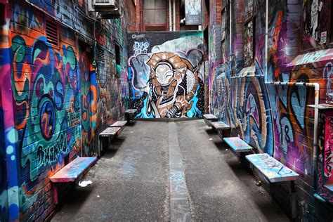 Most of the paddlers also doubled as tourist guides. Where to find the best street art in Melbourne