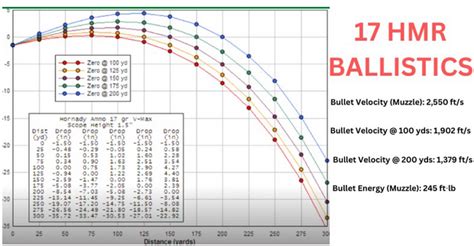 17 Hmr Ammo Specifications Ballistics Applications And More