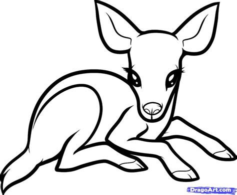 Simple Deer Drawing At Explore Collection Of