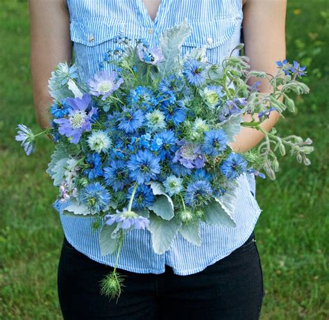 Blue Nigella Blue Wedding Bouquet Flower Farm Flower Garden Design