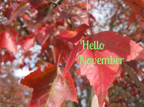 Oh, Hello November | Grace Love Life