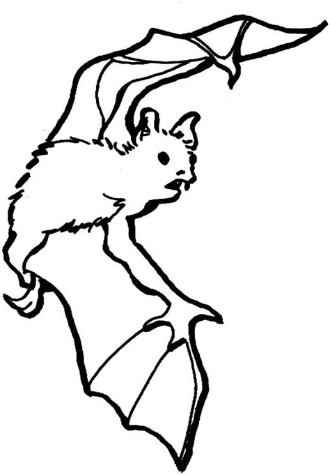 Cute Bat Coloring Page Free Printable Coloring Pages For Kids