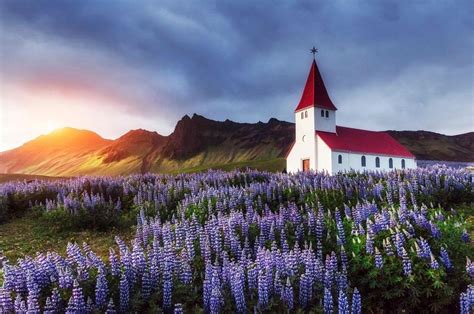 Top 20 Iceland Tavel Tips For An Epic Holiday Daily Travel Pill