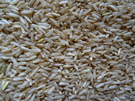 Grains Of Rice Background Free Stock Photo Public Domain Pictures