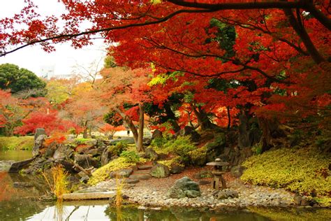 8 Beautiful Parks To Visit In Tokyo Tsunagu Japan Japanese Garden