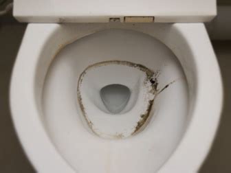 How To Keep A Toilet From Growing Mold Manke Garty