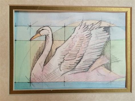 Watercolor And Pencil Sketch Of Swan Laura Kirste Campbell Swans Art
