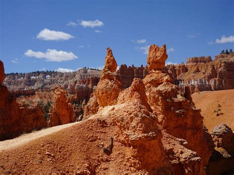 A Path Among The Hoodoos In Bryce Canyon National Park Utah