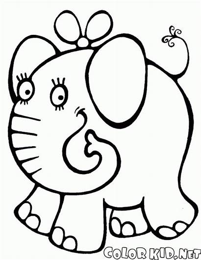 Coloring Bold Elephant Pages Squirrel Toy