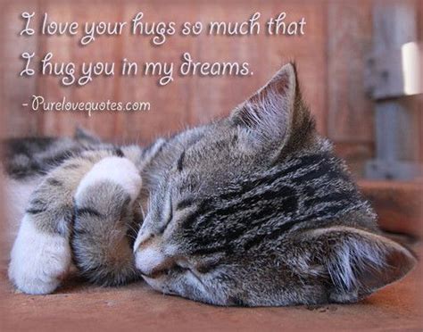 Hugs Pictures And Quotes If A Hug Quote Relationship