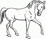 Horse Coloring Printable Fun Forget Supplies Don sketch template