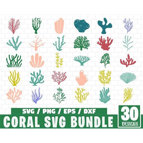 Coral Svg Bundle Seaweed Svg Bundle Under The Sea Plants Inspire