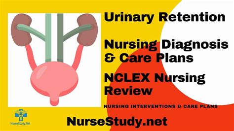 Urinary Retention Nursing Diagnosis And Nursing Care Plan Nursestudy Net