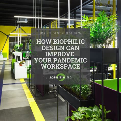 How Biophilic Design Can Improve Your Pandemic Workspace Artofit