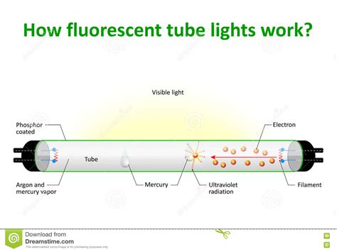 How Fluorescent Tube Lights Work Stock Vector Illustration Of Energy