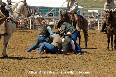 Rodeo Bareback Bronc Rider Is Rescued After Bronc Flips Miles City
