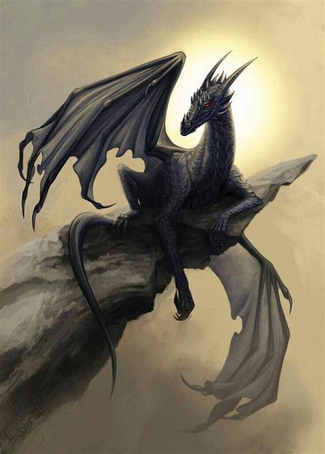 Dragon Art Dragons Dragon Artwork Shadow Dragon Dragon