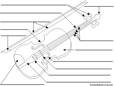 Label The Violin Printout