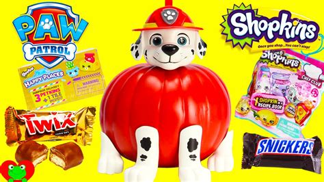 Here are seven excellent ways to watch nickelodeon without a tv provider. Paw Patrol Marshall Pumpkin Surprises and Candy - YouTube