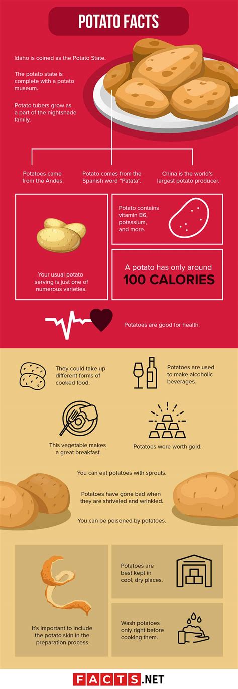 50 Surprising Potato Facts Nobody Tells You About