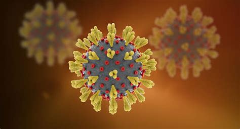 Nueva Variante Del Coronavirus ¿es Normal Que El Virus Mute Y Otras