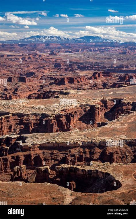 Elevated View Of Monument Basin And White Rim From Grand View Point