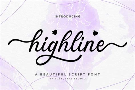 Highline Beautiful Script Font By Subectype Thehungryjpeg
