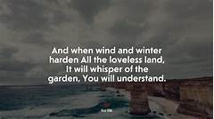 Winter Garden Whispers The Stranger Who Gave Me A Flower And Then Disappeared