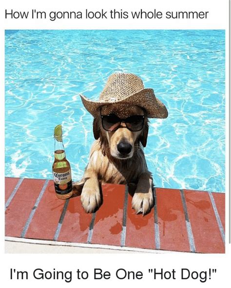 Beautiful sunny and warm spring days. How I'm Gonna Look This Whole Summer Corona | Funny Meme ...