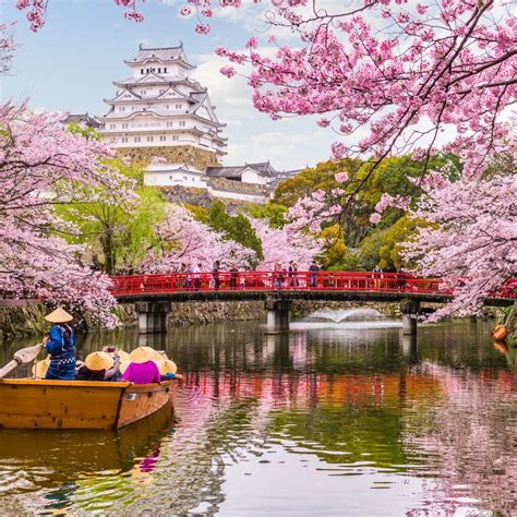 Cherry Blossom Season In Japan 10 Things To Know