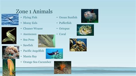 Ppt Ocean Habitats Powerpoint Presentation Free Download Id2274899