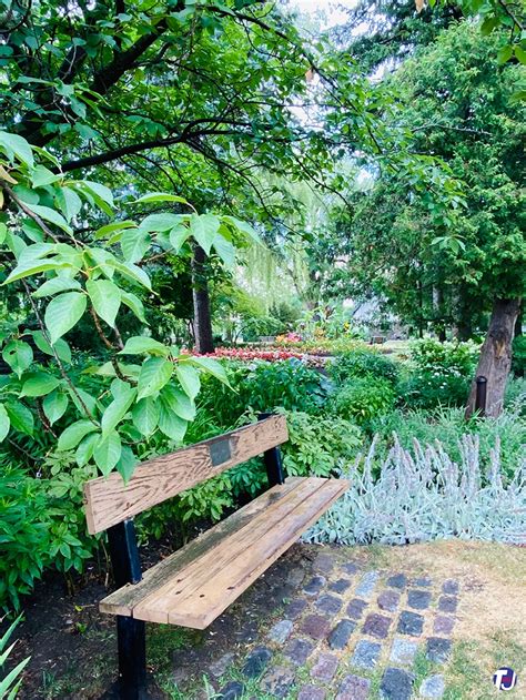 Edwards Gardens Torontos Picturesque Nature Reprieve