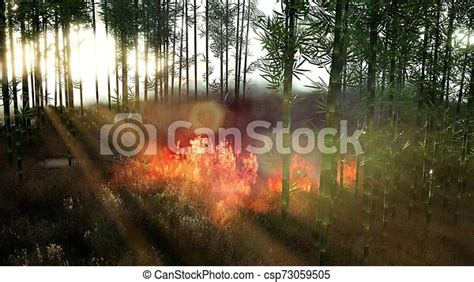 Wind Blowing On A Flaming Bamboo Trees During A Forest Fire Canstock