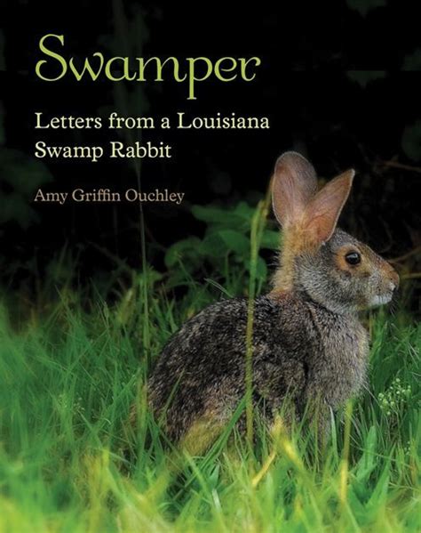 Swamper Letters From A Louisiana Swamp Rabbit By Amy Griffin Ouchley
