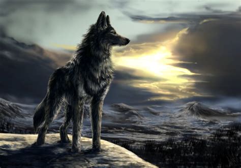 Wolves Wolves Fan Art 20471685 Fanpop