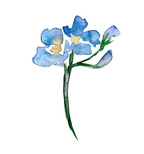It is not uncommon for these plants to be received by the family members. Original flower Watercolor Painting. Forget me not. by ...