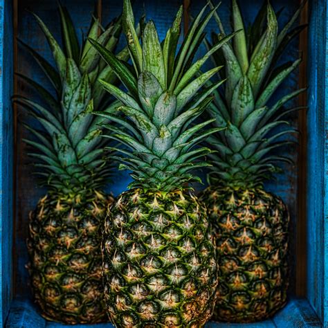 Pineapple Fine Art Prints