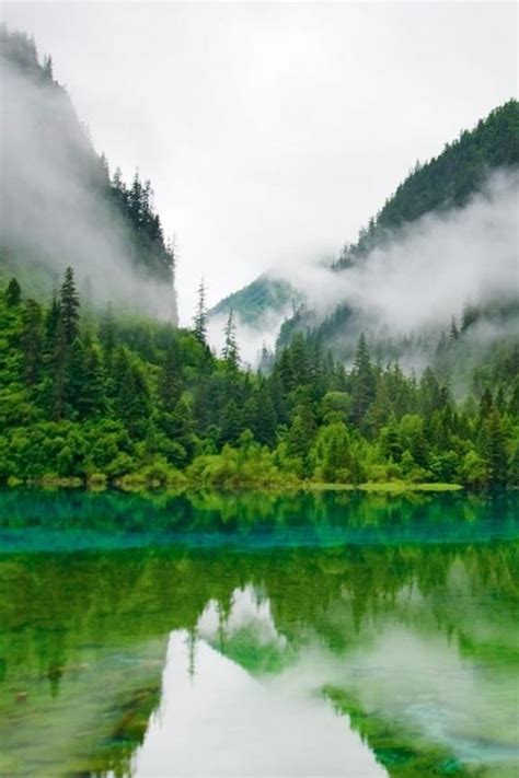 Nature Foggy Mountains Calm Lake Forest Iphone 4s Wallpapers Free Download