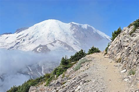15 Top Rated Hikes In Mount Rainier National Park Wa Planetware