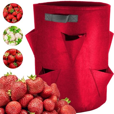 Strawberry Pocket Grow Bag Fabric Pots For Sale Free Uk Delivery
