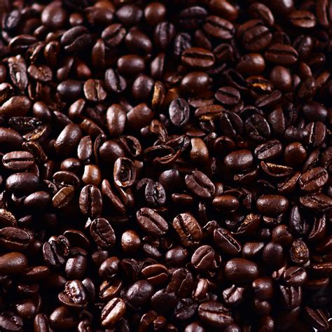 Roasted Coffee Beans 100 Arabica 10kg Aveon Cafe