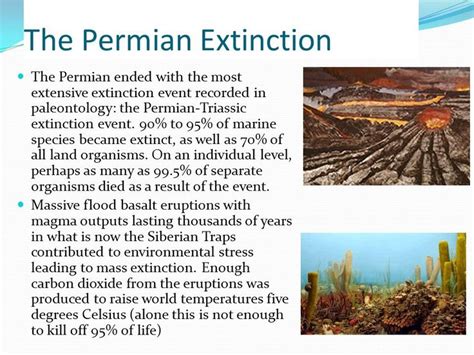 Permiantriassic Extinction Event
