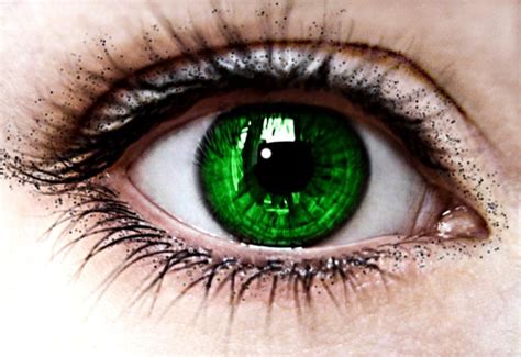 Dark Emerald Green Eyes