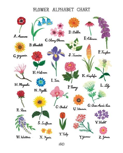 Flower Alphabet Chart Art Print Etsy Flowers Names And Pictures