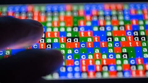 Genetic Test Could Reveal Causes Of Rare Diseases Technology Networks