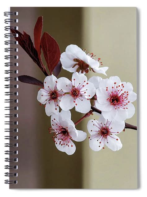 Our Spiral Notebooks Are 6 X 8 In Size And Include 120 Pages Which