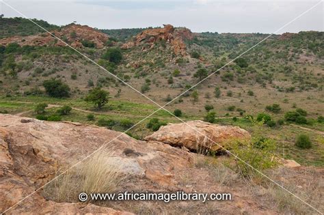 Photos And Pictures Of View From Mapungubwe Hill Mapungubwe National