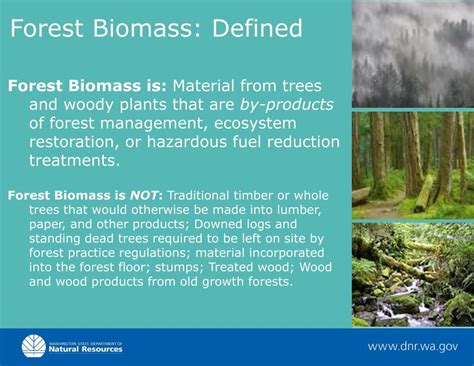 Ppt Ensuring Sustainability In The Emerging Forest Biomass Sector